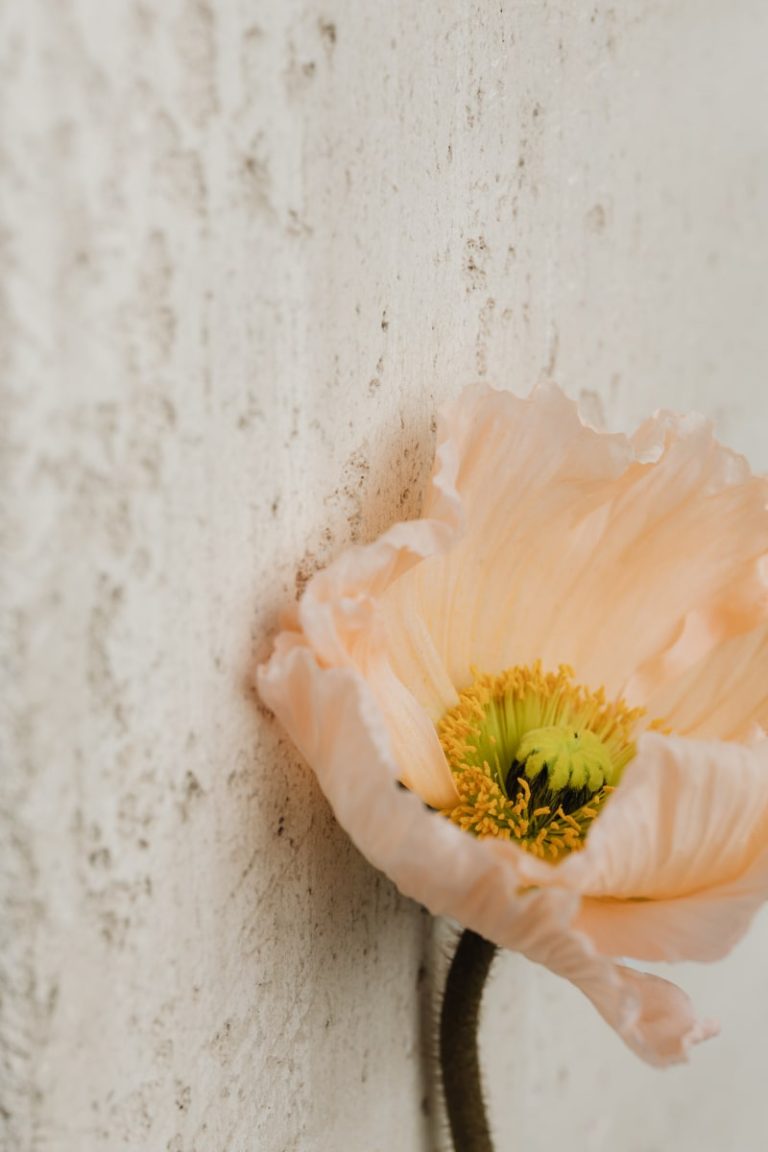 I Know Places We Can Hide