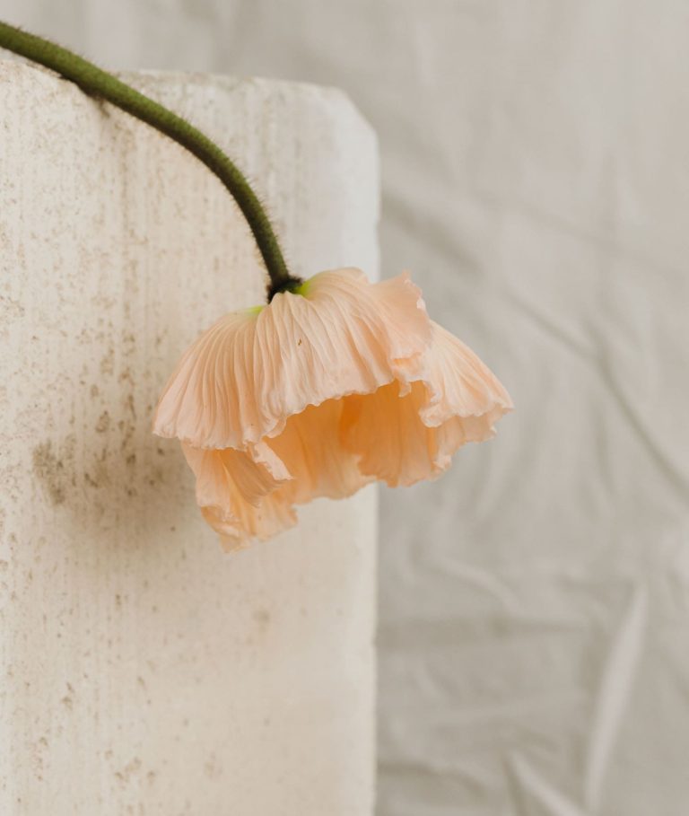 Chemtrails Over the Country Club